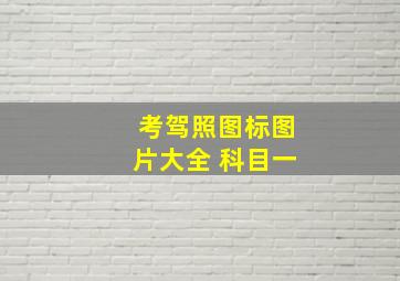 考驾照图标图片大全 科目一